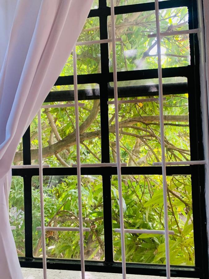 Ocean View Apartments Bridgetown Kültér fotó